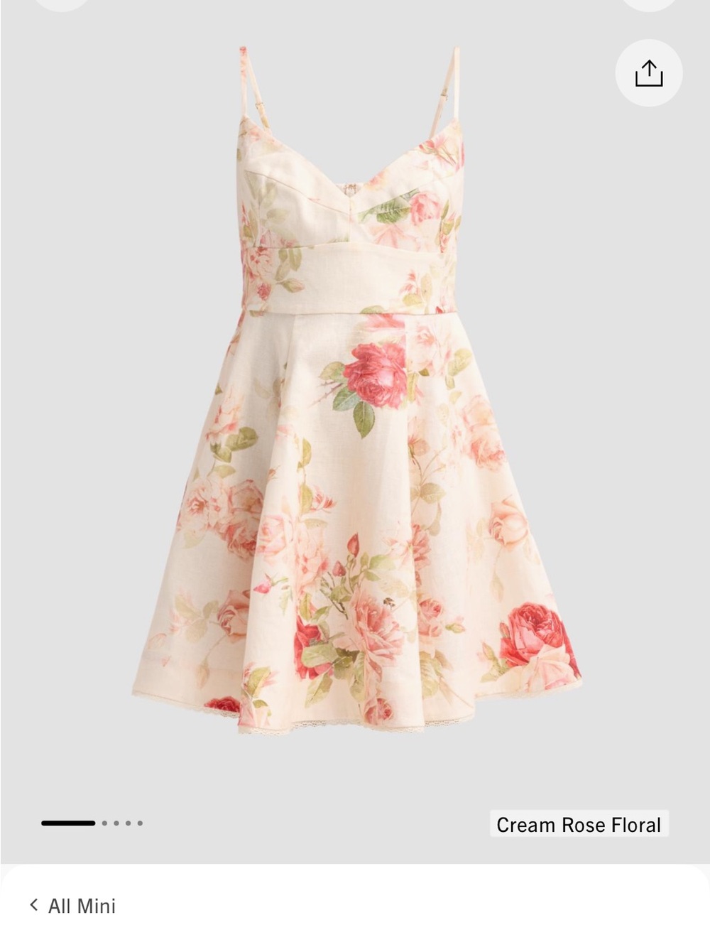Zimmermann Floral A-Line Spaghetti Strap Dress in Ivory and Rose